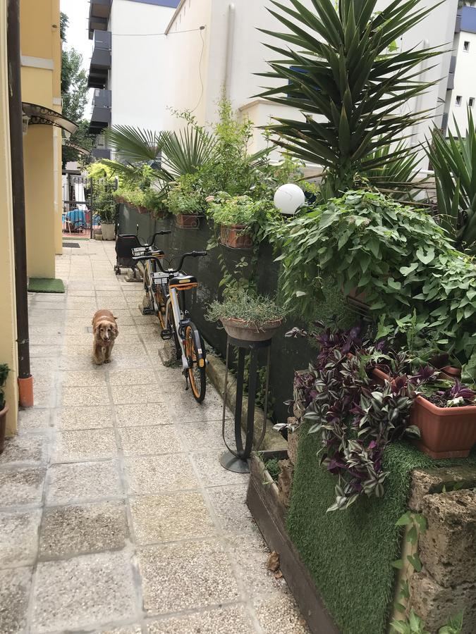 Villa Grazia Rimini Eksteriør bilde